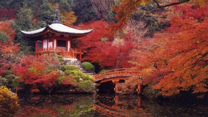 アートの力で醍醐寺を後世に。鶴田一郎による特別展覧会を開催、絵画