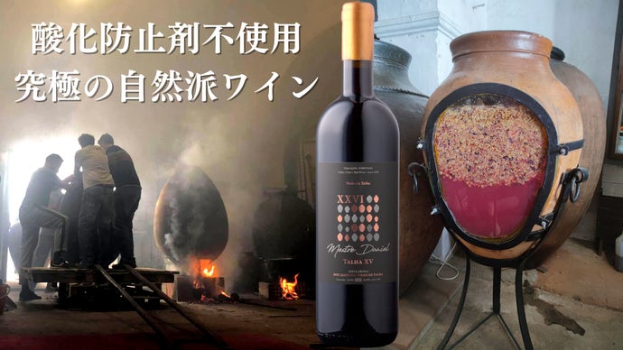 【好評につき第二弾！】あなたとつくる、酸化防止剤不使用の古代製法ナチュラルワイン