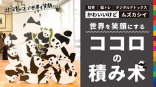 「ココロの積み木」シリーズに かわいいパンダが登場