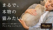 もっと、まるで本物に。猫と暮らすような体験ができる猫型クッション ミャウエバー