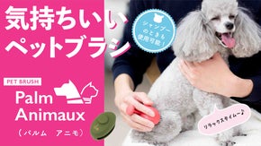 世界中で200万本売れているスカルプブラシを元に開発!ペットブラシ|パルムアニモ