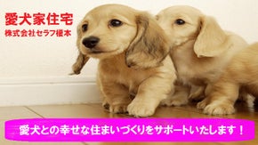 埼玉県川口市の愛犬家住宅リフォームで愛犬も愛犬家もハッピーにいたします！