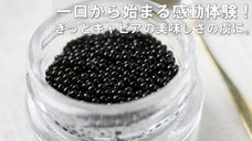 シャンパンの華やかな香りをまとった滑らかな旨味濃厚シャンパンキャビアを先行販売