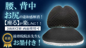 【腰＆背中&お尻を徹底サポート】3WAY活性炭配合コズモクッション待望の第三弾！