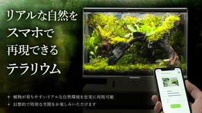 大自然の景色を切り取った非日常のインテリア・テラリウム水槽SmartTerra