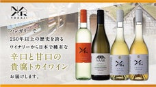 稀有な辛口貴腐ワイン　ハンガリーから辛口・甘口のトカイワインがクリスマス前に上陸