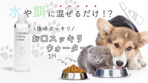 ペットのお口を爽やかに！無香料で栄養素豊富！後味さっぱり・お口スッキリウォーター