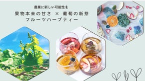 春の果樹園から〜葡萄の新芽ブレンドの心安らぐフルーツハーブティー