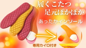「歩くだけで足ポカポカ」靴にいれるだけの専用カイロ付き中敷きあったかインソール