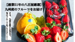 お取り寄せで旬のフルーツ狩りに行った気分を味わえる！九州産の極上フルーツをお届け