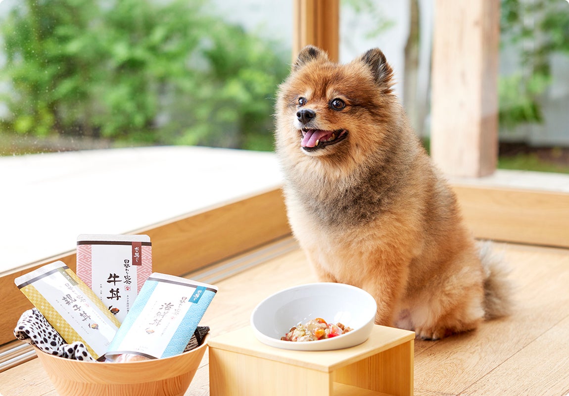 おかずのある食事】 丼ぶりスタイルで楽しめる『犬の日替わり定食