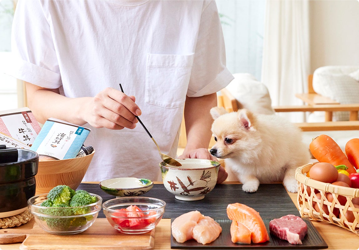 おかずのある食事】 丼ぶりスタイルで楽しめる『犬の日替わり定食