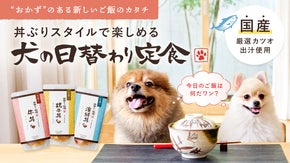 【おかずのある食事】 丼ぶりスタイルで楽しめる『犬の日替わり定食』
