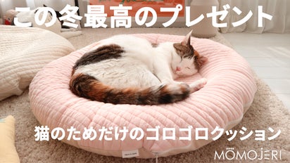 今年の冬、大切な人に暖かい気持ちをプレゼントしてみてください