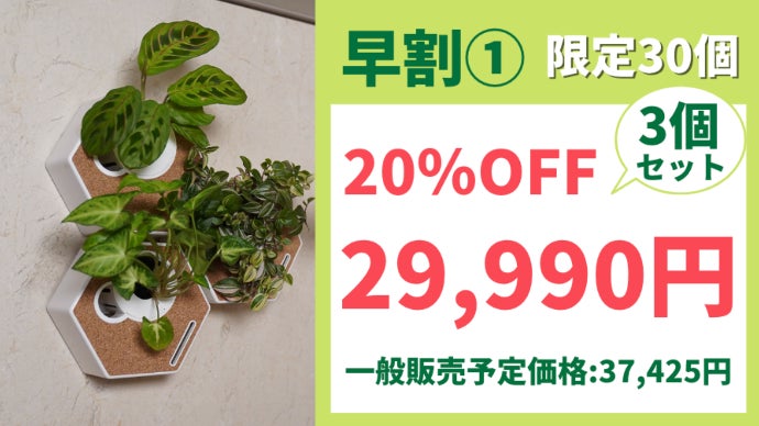 観葉植物を壁で育てる 新しい形のインテリア TheNokuCanvas｜マクアケ