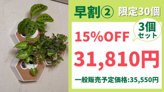 観葉植物を壁で育てる 新しい形のインテリア TheNokuCanvas｜マクアケ