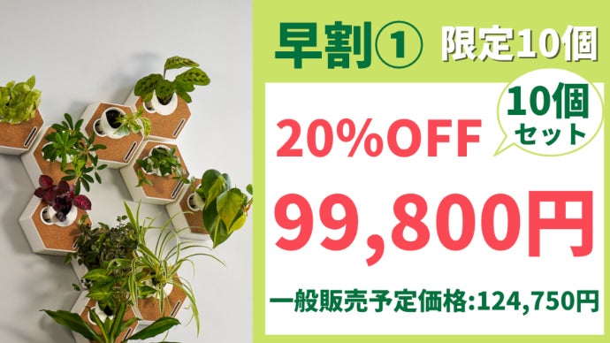 助けて観葉植物セット 土を使わない観葉植物】テーブルプランツ ギフトセット(Table Plants