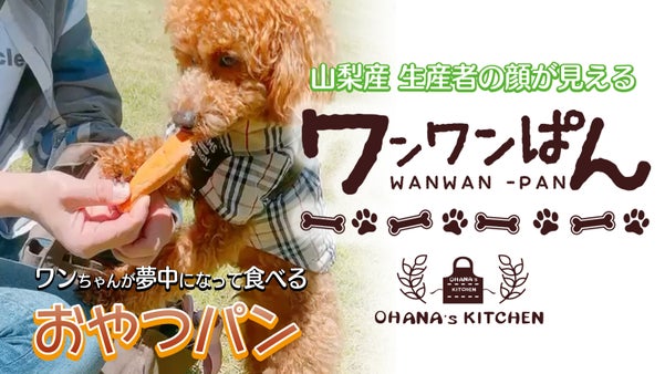 大切な愛犬のおやつ「ワンワンぱん」
