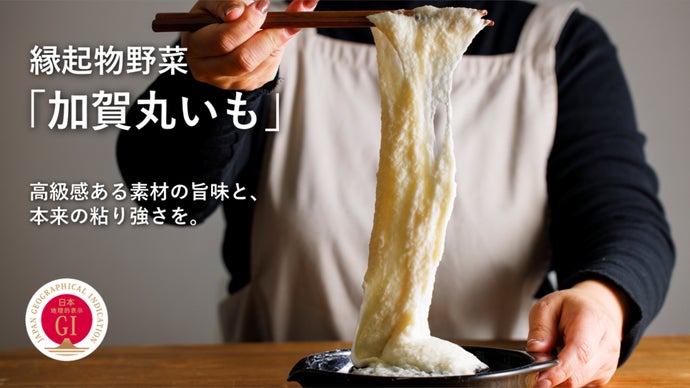 縁起物野菜】霊峰白山の麓で水害を乗り越え育った、粘り強さが自慢の