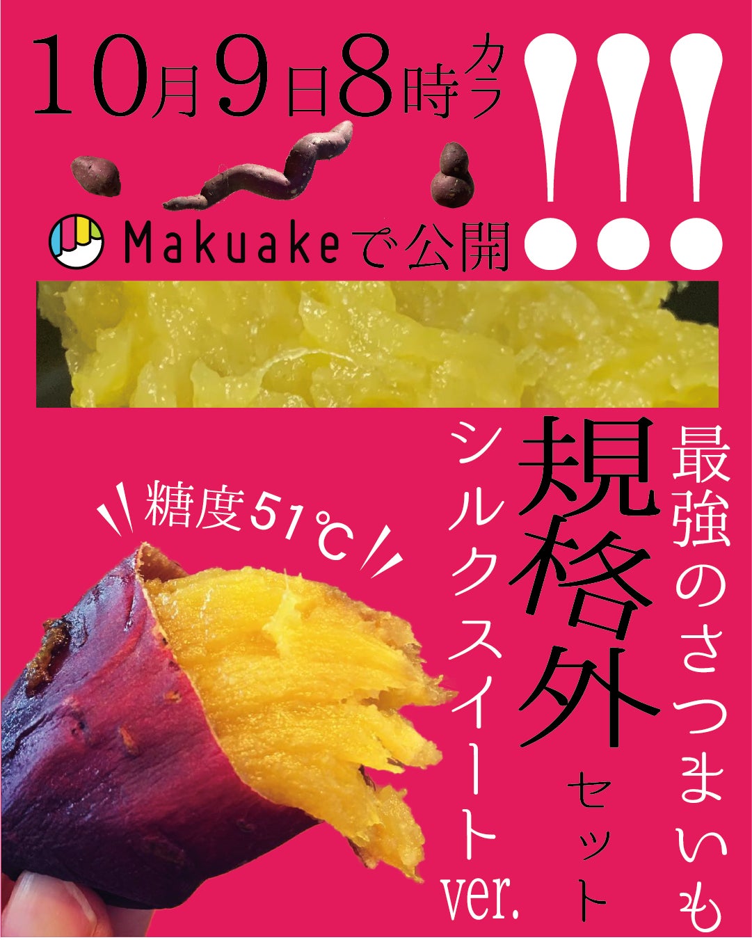 初！もったいない「おいしさ」をお得にお届け！甘すぎて研究対象になっ