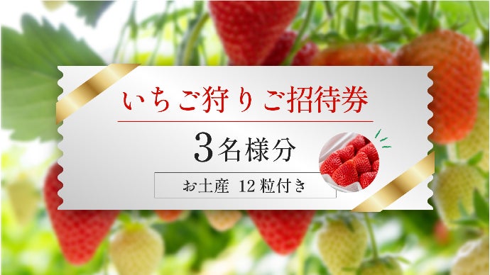 年間4000人以上が訪れる人気のいちご館から、朝採れ完熟いちごを