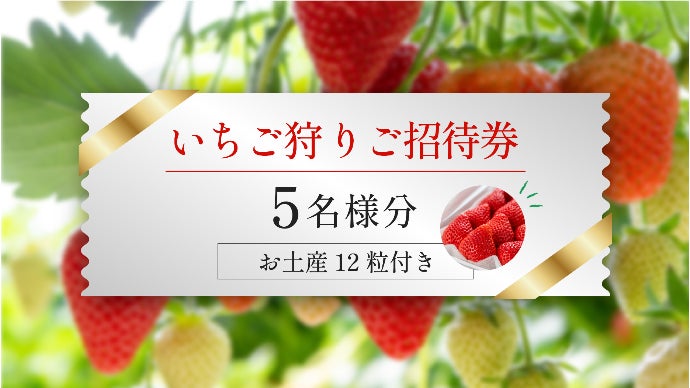 年間4000人以上が訪れる人気のいちご館から、朝採れ完熟いちごを