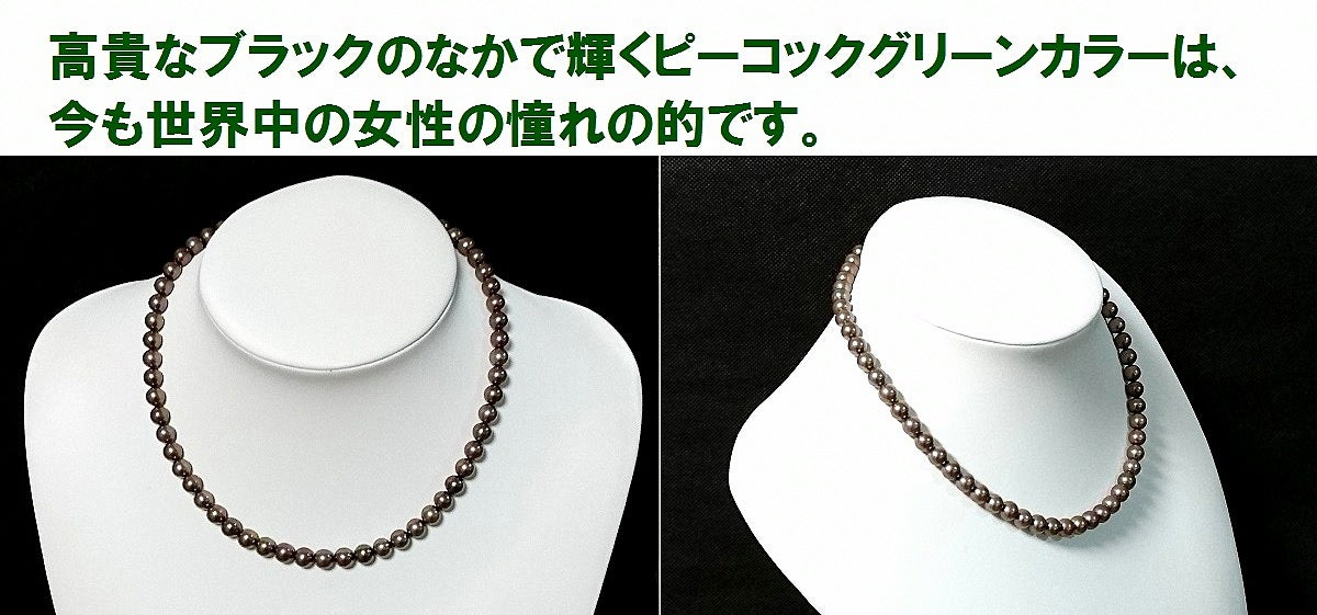 高貴なブラック中で輝くピーコックは女性の憧れの的です。あこやパール