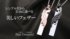 ブルーダイヤつき！繊細で美しい翼！ 3カラーから選べる こだわりのネックレス