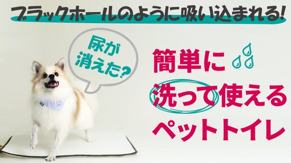 使い切りペットシートのゴミや臭いから解放！簡単に洗って使える3Dメッシュトイレ