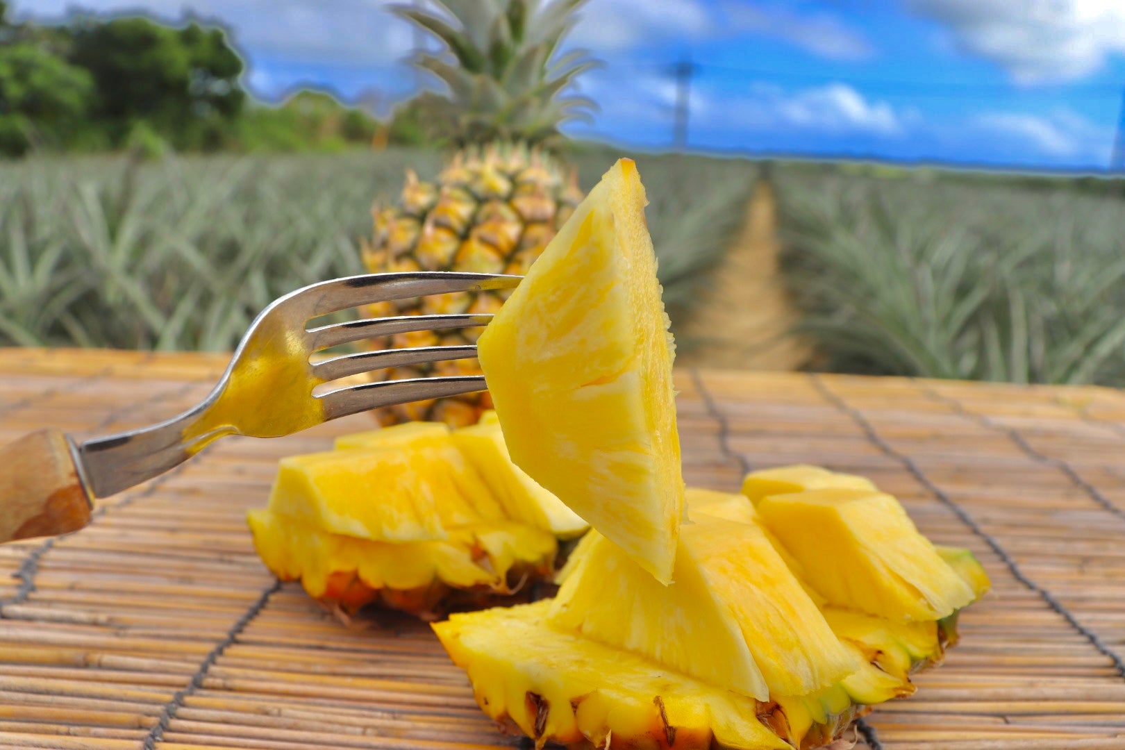 石垣島産「極上パイナップル」第二弾！甘くてジューシーな果肉が貴方を