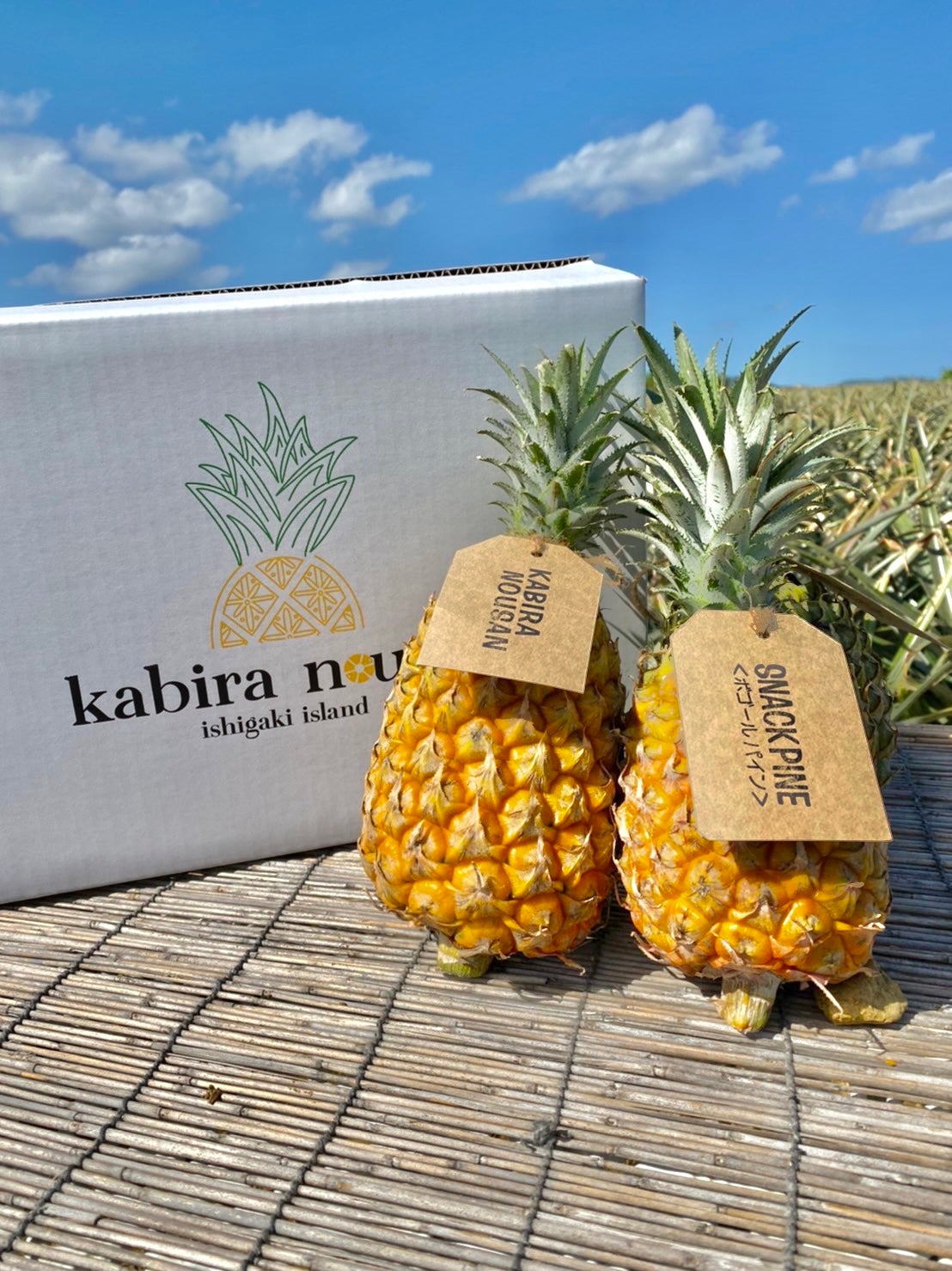 石垣島産「極上パイナップル」第二弾！甘くてジューシーな果肉が貴方を