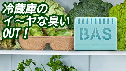 無臭”冷蔵庫のための小さなチョイス、BAS冷蔵庫 消臭剤 !｜マクアケ 