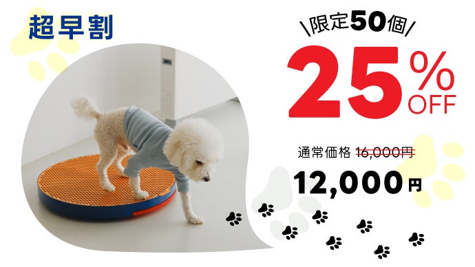 紙が不要なペットトイレ「Dogslo」 溜まったら流すだけ！周りも汚れにくく楽々お片付け！ペット用トイレ