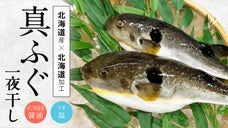 【新発見！北海道産真ふぐ】北海道民も知らない、北海道産の絶品真ふぐ一夜干し