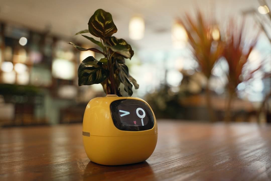 まるでペットみたい！？に植物を育成！植物の気持ちが見れるAI