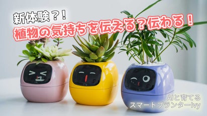 まるでペットみたい！？に植物を育成！植物の気持ちが見れるAI スマートプランター｜マクアケ - アタラシイものや体験の応援購入サービス 5個パック セルフウォーターポット 屋内植物用 4インチ + 5.5インチ 屋内植物用装飾プランター アフリカンバイオレット、ラン、