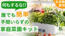 全自動栽培で放置ゲームのように勝手に育つ！特許取得の家庭菜園キット