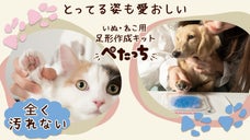 汚れない。だから一緒に楽しめる。シヤチハタ発、ペット用足形作成キット「ぺたっち」