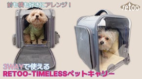 フォルダブル透明バックパック！拡張＆透明窓に変身するペット専用キャリー