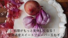 ５年間の研究成果の結晶。エシャロットの国産化に挑戦！「スイートフレーバー玉ねぎ」