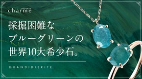 【第3弾】世界10大希少石！個性的に輝く『グランディディエライト』ジュエリー