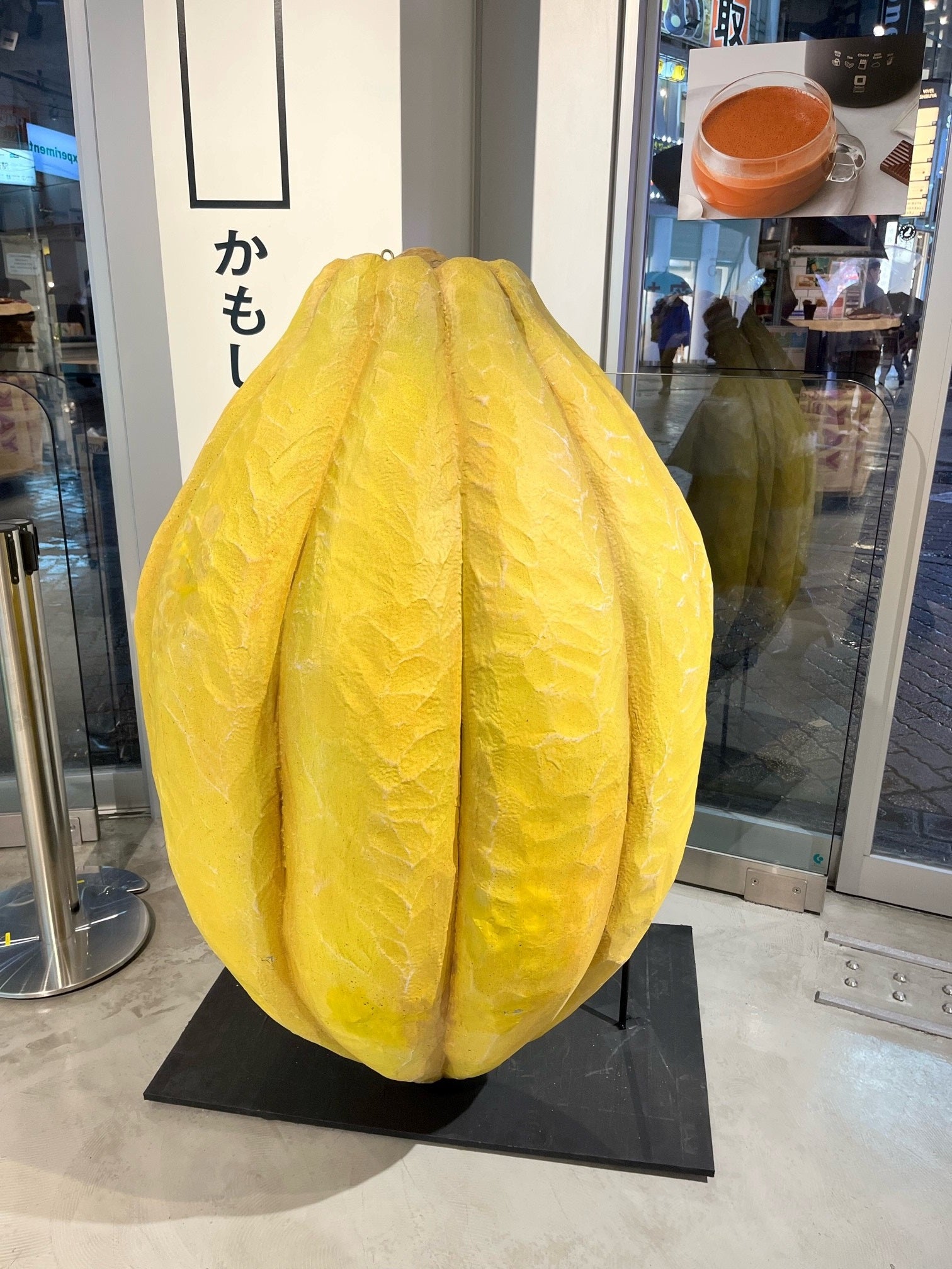 NAGA◆2枚チョコレートワールド1558 16Pカカオ豆 型マトファー チョコレートは明治」の本気の挑戦！カカオというフルーツの新しい愉し