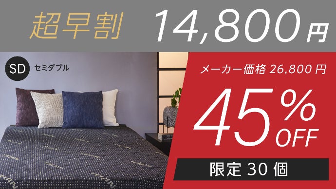 快適な眠りへといざなう上質な寝心地】テイジン 快適清潔プレミアム