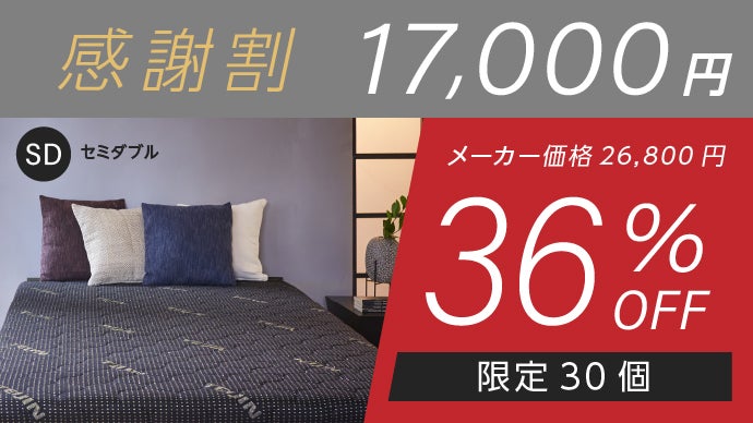 快適な眠りへといざなう上質な寝心地】テイジン 快適清潔プレミアム