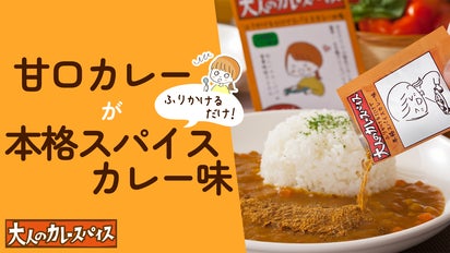 忙しいママ・パパ必見！甘口カレーを大人の味に変える「大人のカレー