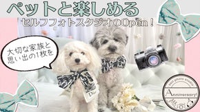 365日かけがえのない毎日が記念日！ペットと楽しめるセルフフォトスタジオの開業