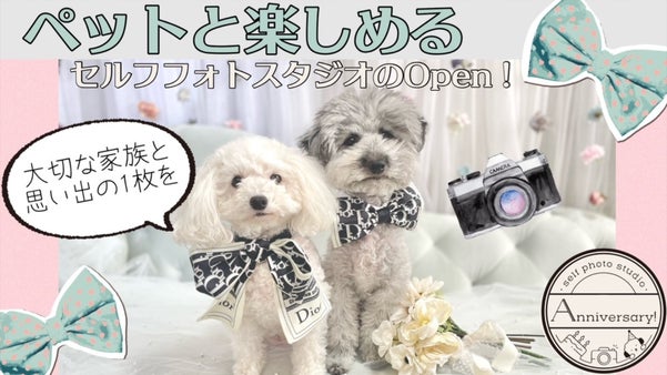 365日かけがえのない毎日が記念日！ペットと楽しめるセルフフォトスタジオの開業