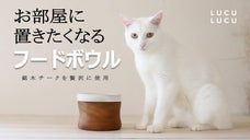 〜匠の技が織りなす〜オブジェのように美しいペット用フードボウル【名前の刻印可能】