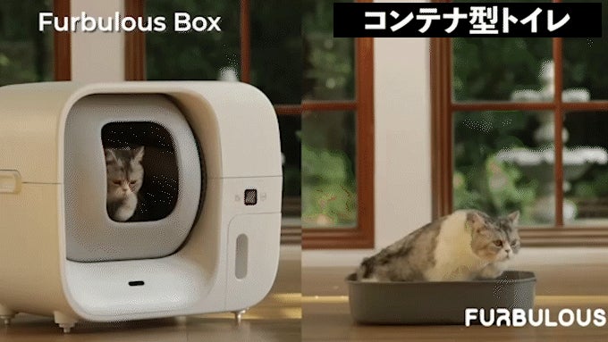 ファビュラスボックス Furbulous Box本体スタートセット Furbulous Box