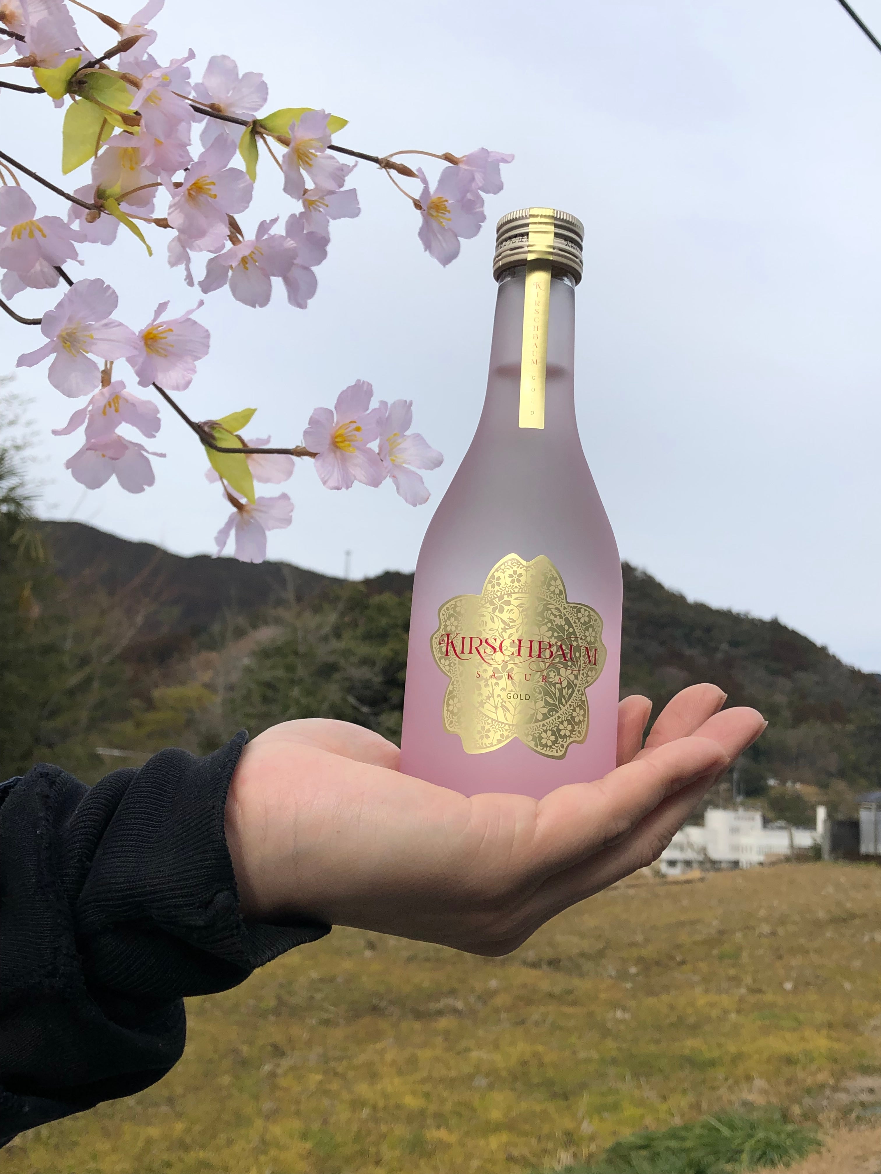 ドーバー キルシュワッサー 100ml – ABC Cooking MARKET 古酒 キルシュ